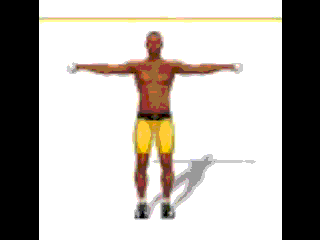 Elevação lateral com halteres