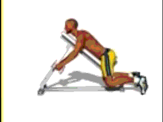 Elevação lateral tronco inclinado so