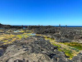 Bushrangers Bay Rock Pools