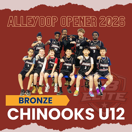 Alleyoop Opener U12 bronze.png