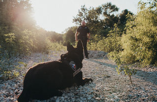 Corporal Edwards & Baak: Sherman K-9 Team | Sherman TX Photographer