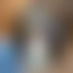 F.E.L.L.O.W.S at Stem Fair for Cheltenham HS