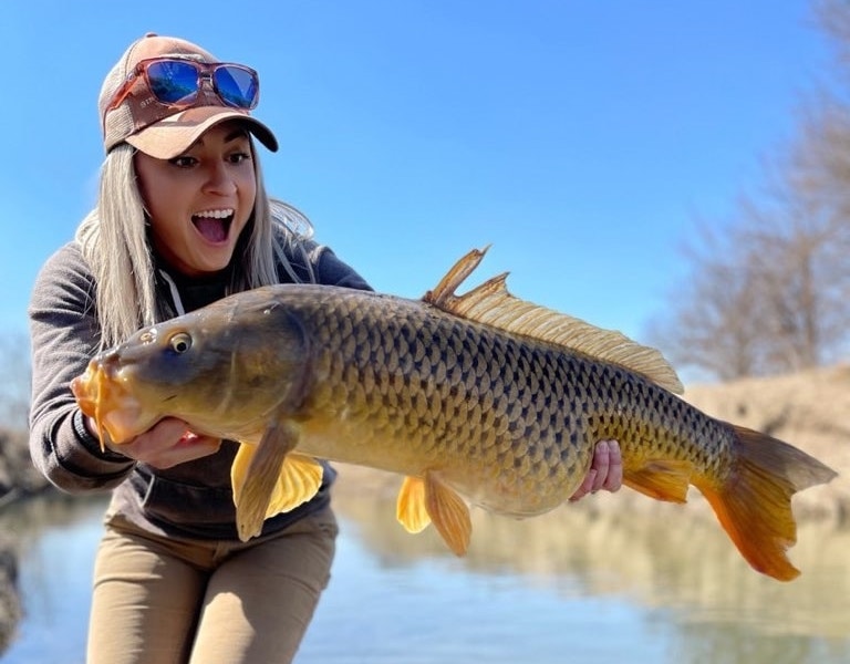 really big carp! 