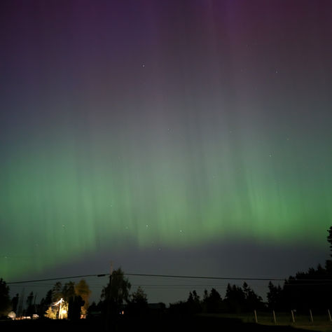 The Northern Lights of Our Lives