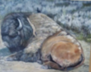 “Yellowstone Bison and Hitchhiker bird”