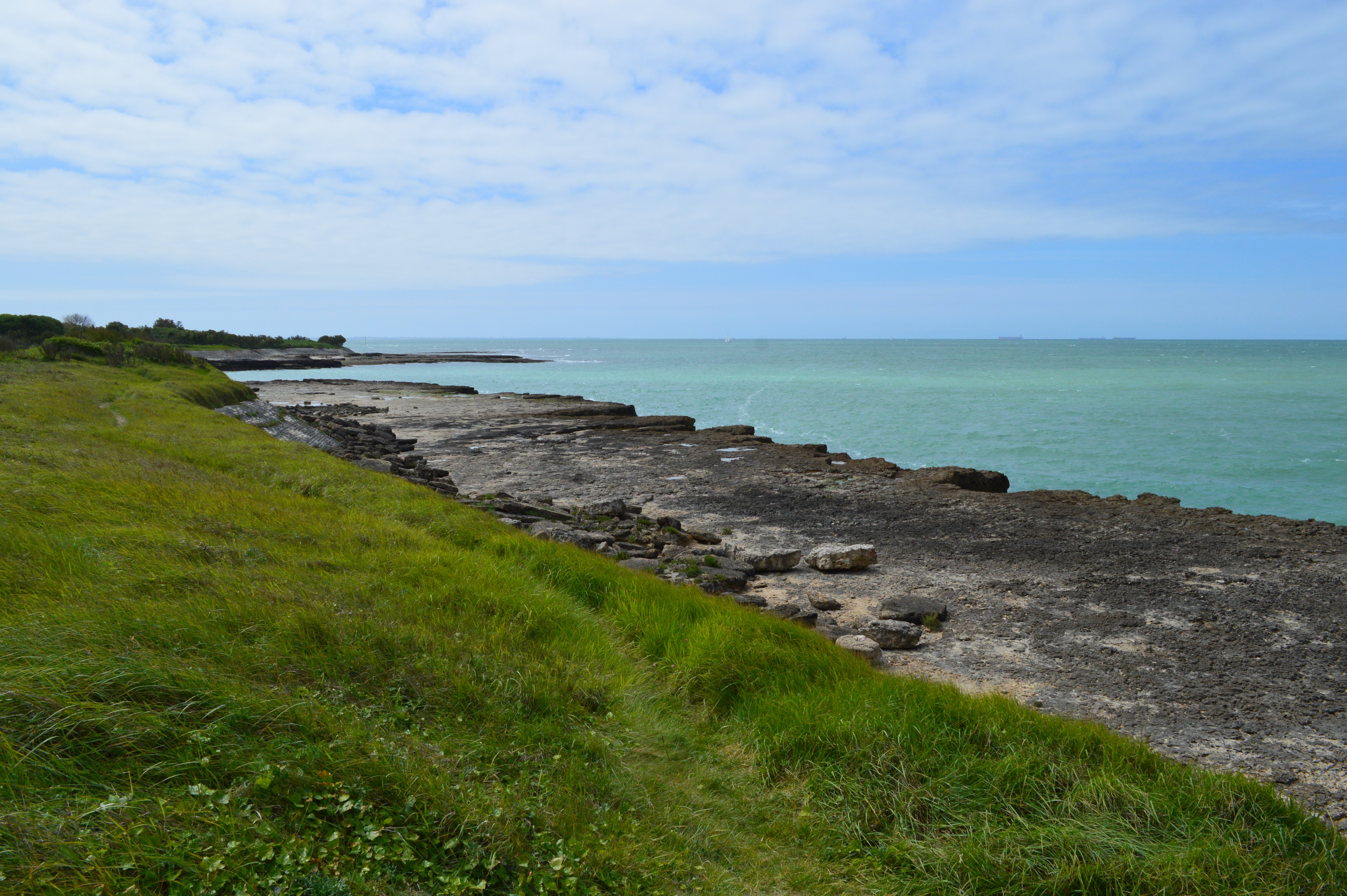 DSC_0803