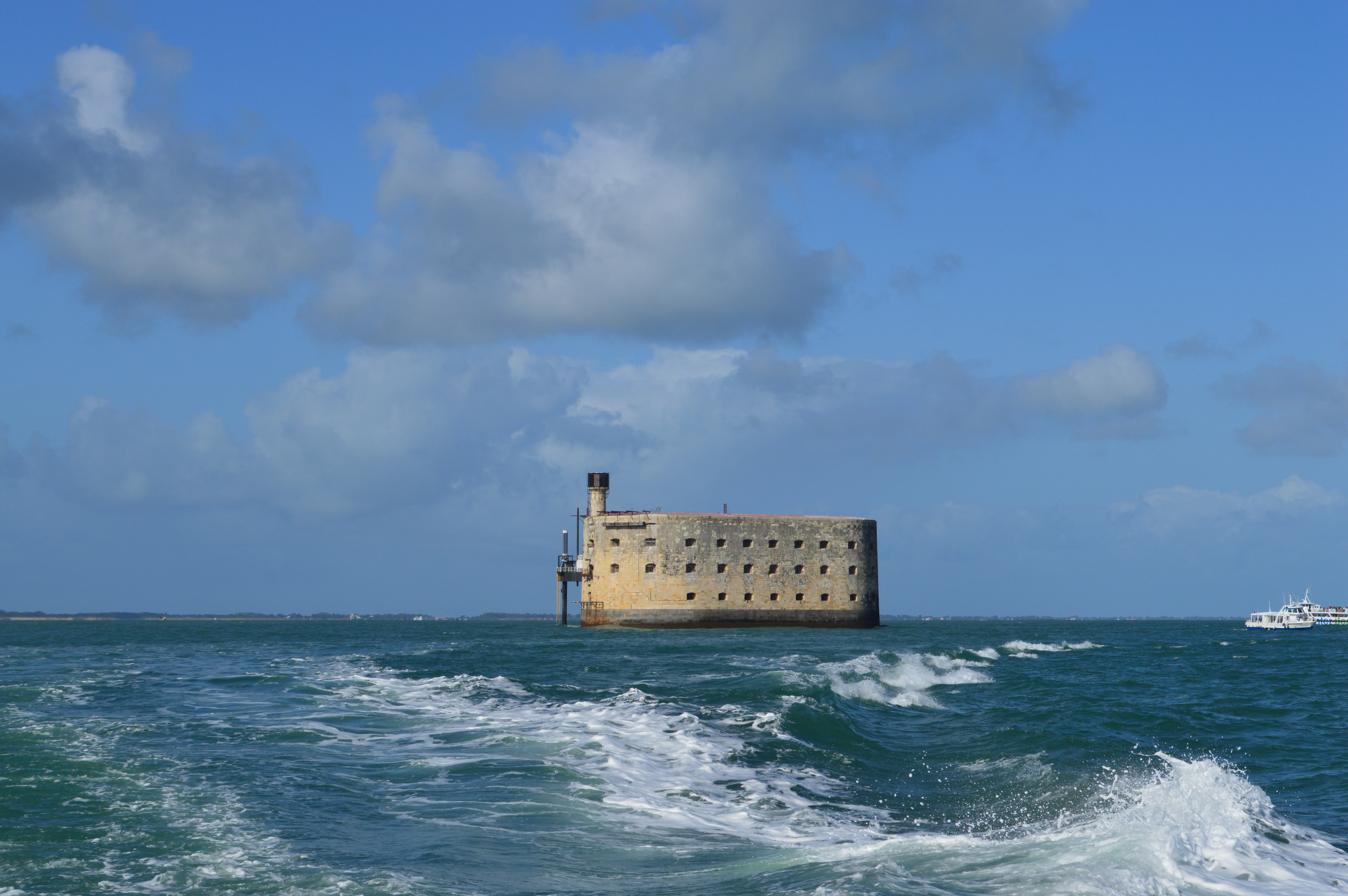 DSC_0064 (3)