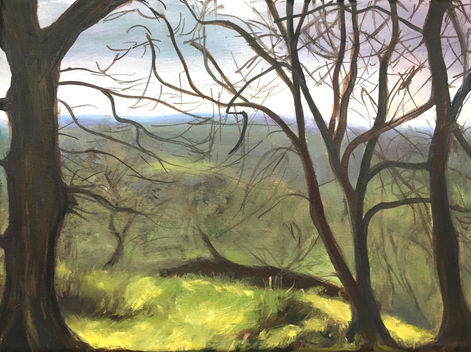 Tender Light-  a  small plein air painting, oil on canvas, Leith Hill Place, Surrey.