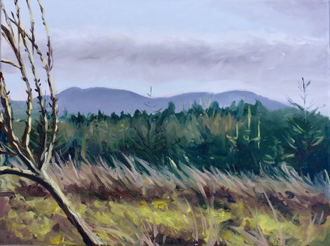 Winter's Light - a small plein air painting, oil on canvas, Devon.