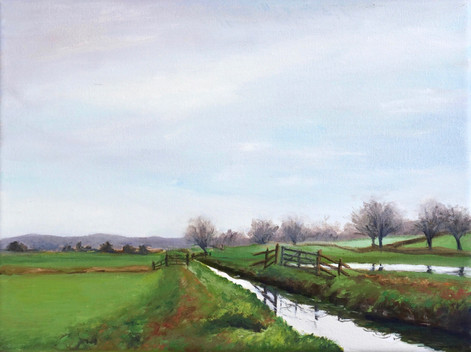 Godney Farm - a small plein air painting, oil on canvas, Godney Farm, Devon