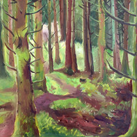 Deep in the Woods - a  medium plein air painting, oil on canvas, Stockhill Wood, Somerset.