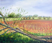 Spring Arrives -  a  small plein air painting, oil on canvas, Godney, Somerset.