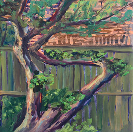 The Old Apple Tree