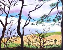 The Edge of the Forest