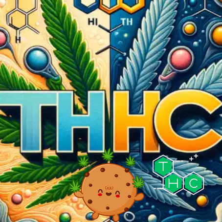 HHC Vs THC: The Differences In Cannabis Compounds