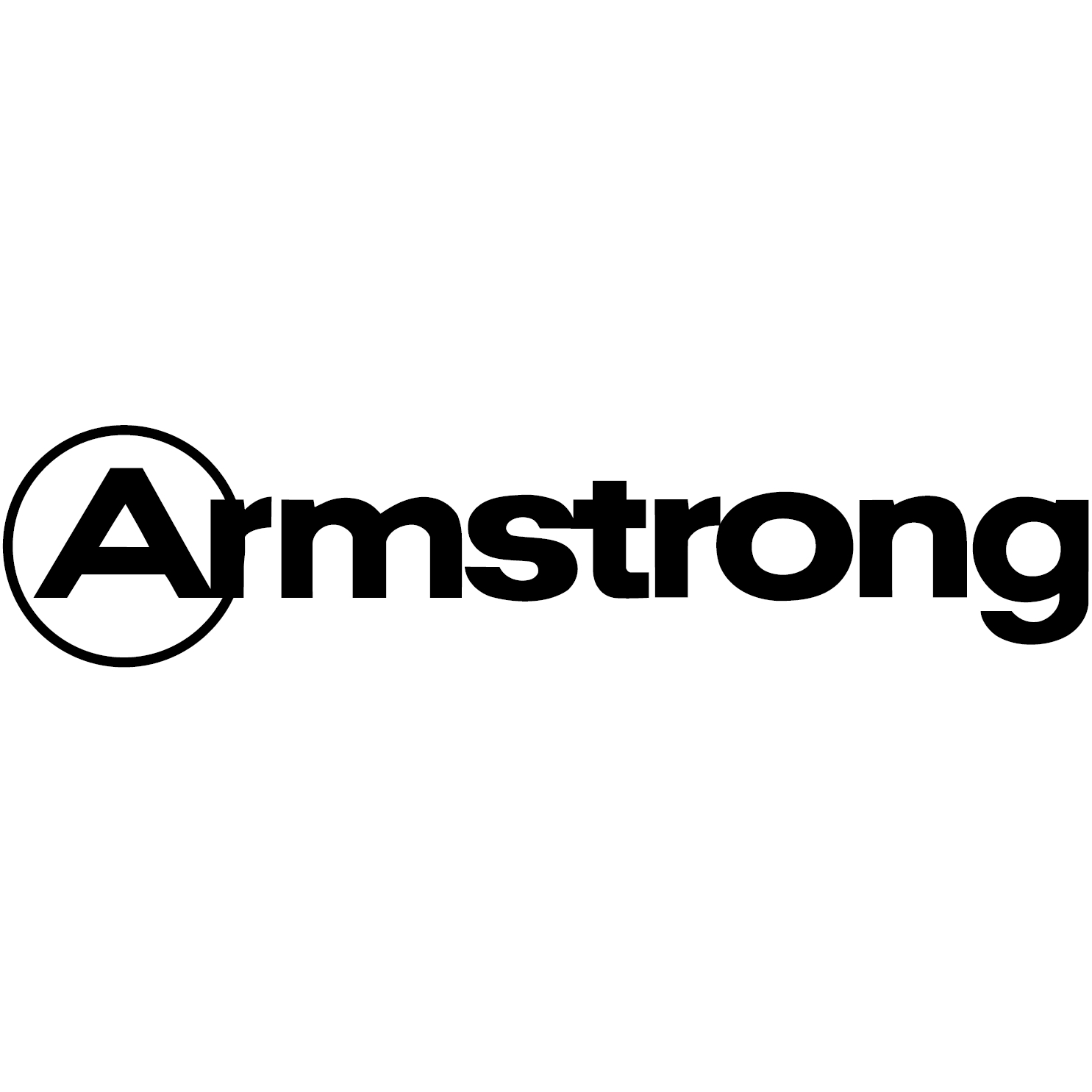 ARMSTRONG.gif