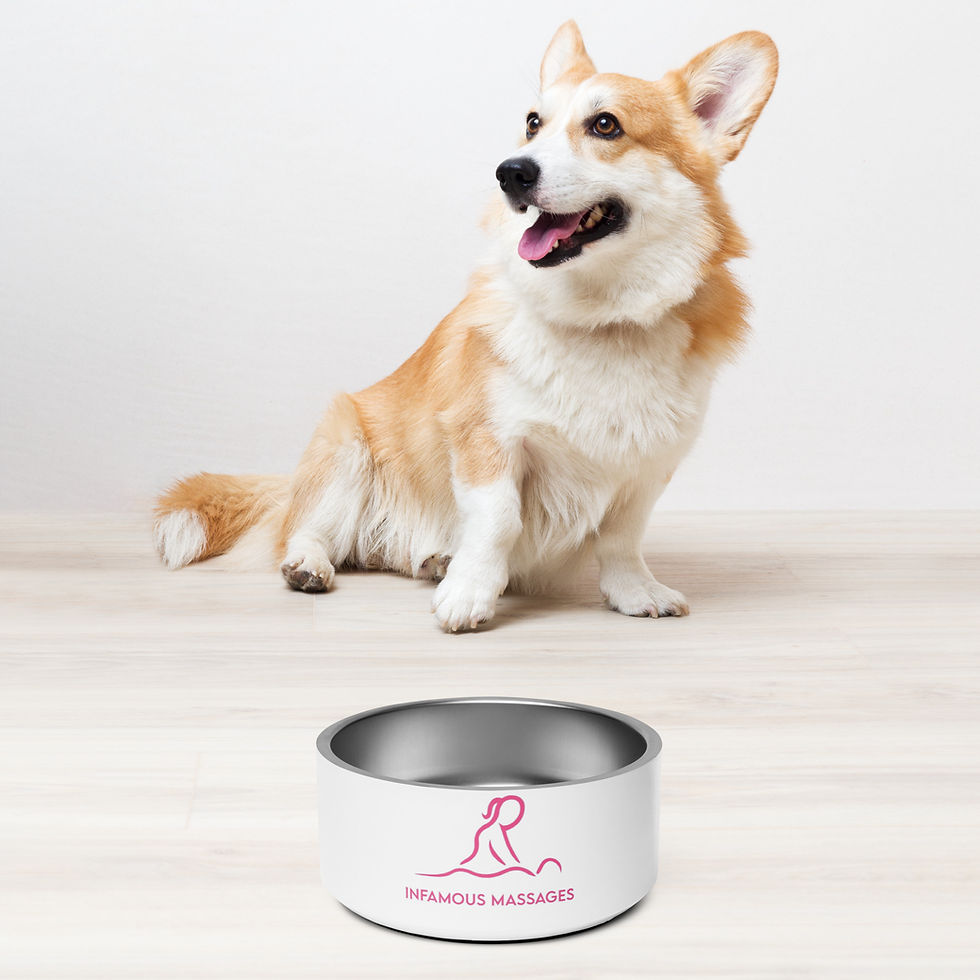 Thumbnail: Pet bowl