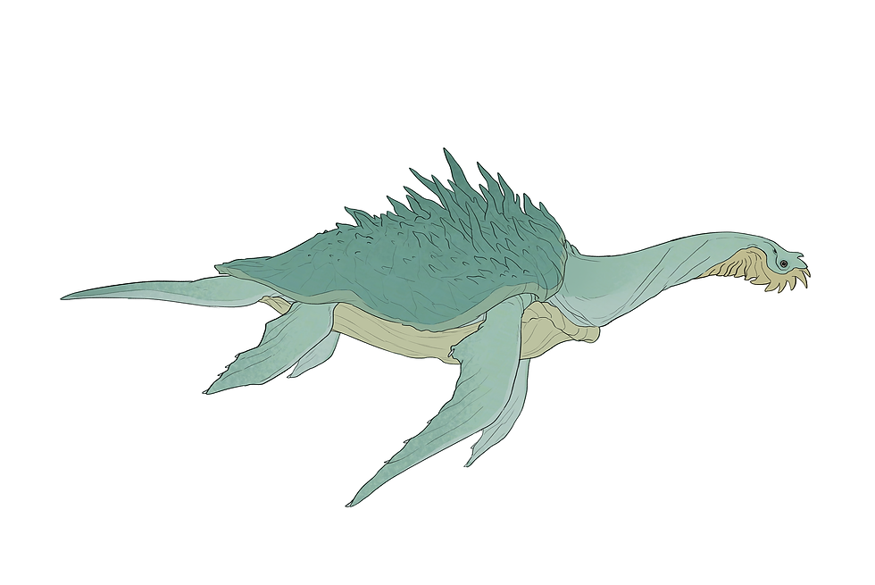 01small