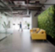 Living Walls_edited.jpg
