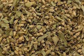 oregano mexicano Mexican oregano