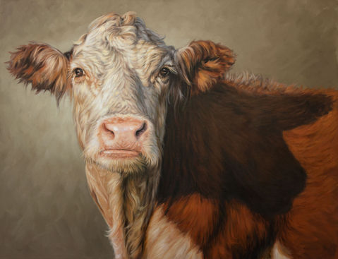 Hereford Cow painting, red and white cow, cattle painting,  joanne cope