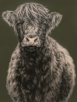 Young Highland on Green - SOLD