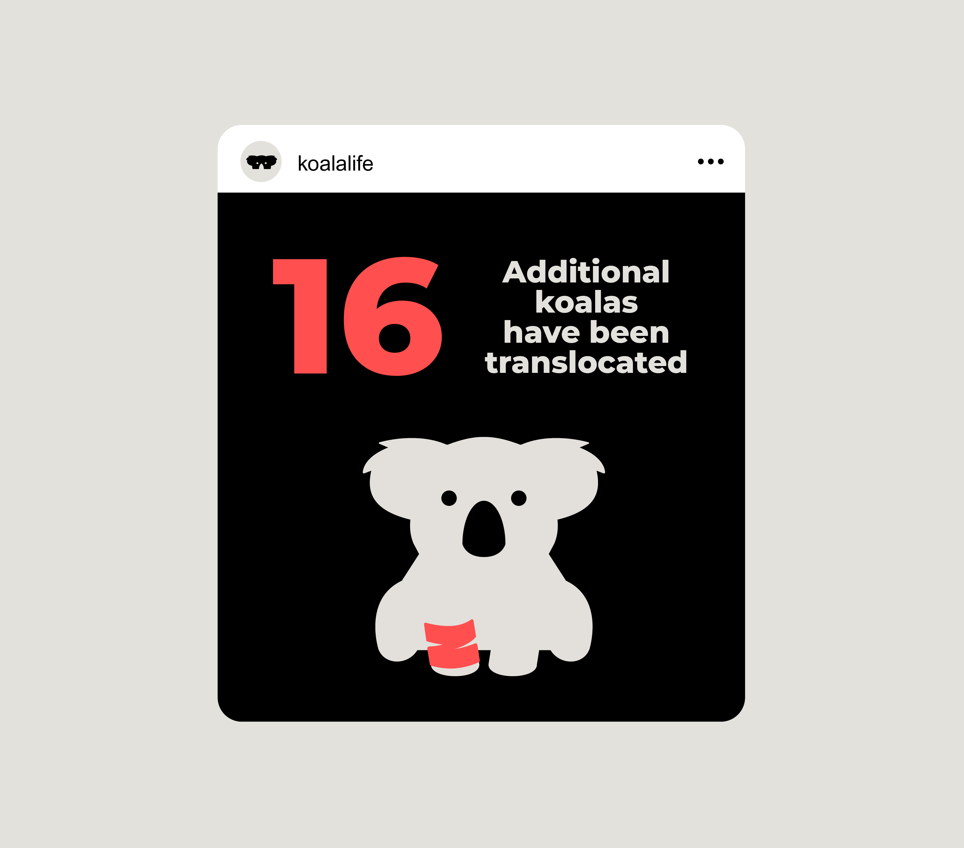 PRI0082_Web-21_Koala-Life_v3_Anim-2.gif