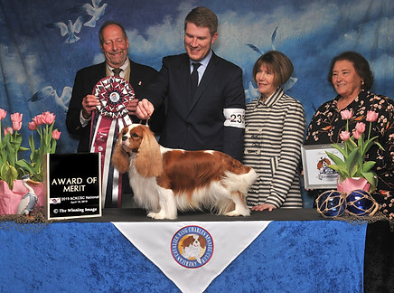 Mufasa 2019 ACKCSC National.jpg