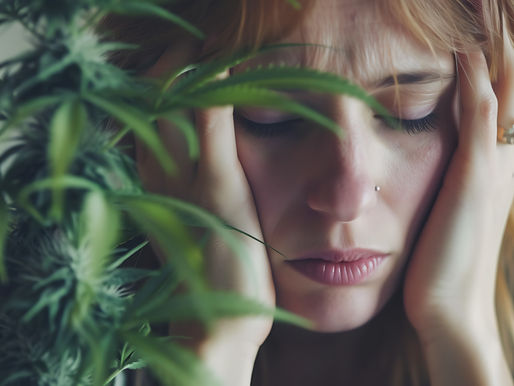 The Potential of THCa in Managing Chronic Pain: A Review