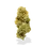 Thumbnail: VapeMeds Ghost Rider OG | THCa Flower | 1 Ounce
