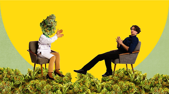 Therapeutic Benefits of the Cap Junky Strain