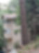 Lake Arrowhead house.jpeg