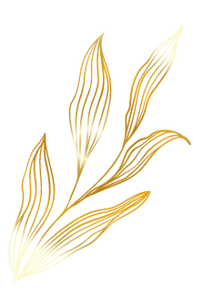 BrancheOr_edited_edited_edited.png