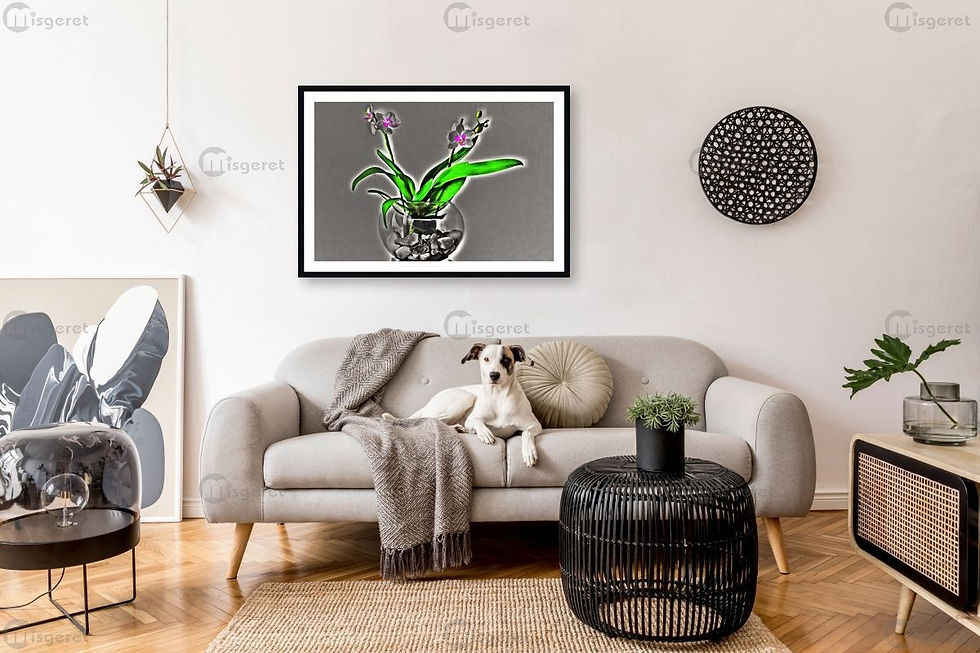 Thumbnail: orchid light 63x89 cm