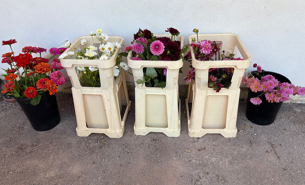 Thumbnail: DIY Buckets