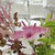 Thumbnail: Table Flowers