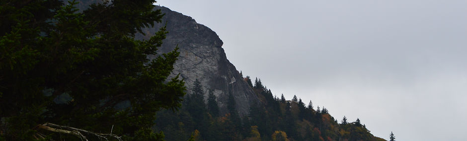DSC_0142.JPG