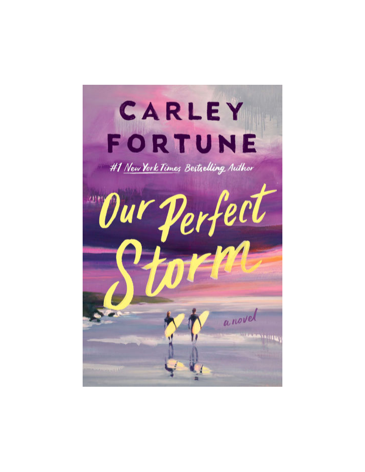 Our Perfect Storm by Carley Fortune