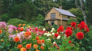 2017 Annual Garden Tour and Picnic
