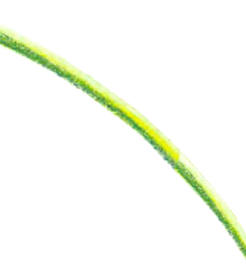 Growing God Prayer Ribbon (1) copy_edite