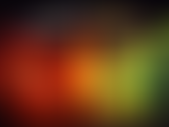 Sectoral Funds: High Risk High Return or Portfolio Risk Amplifier?