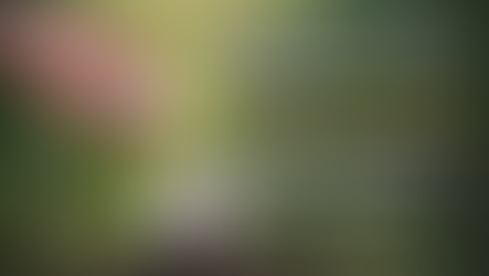 Should You Really Put Your Long-Term Money Into Retirement Mutual Funds?