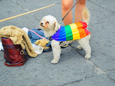 Thomas Hartung: DIE REGENBOGEN-FLAGGE ALS KNEBEL