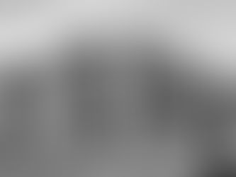 OFFENER BRIEF an Prof. Hartmut Dorgerloh, Stiftung Humboldt Forum im Berliner Schloss