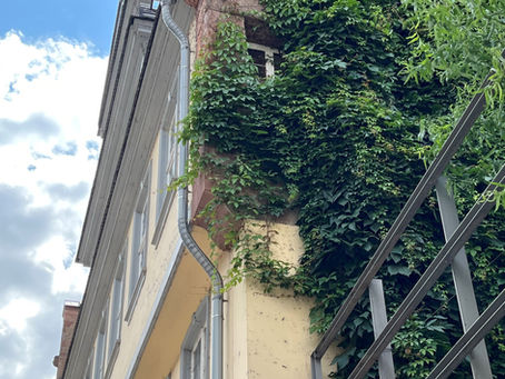 Bernd Fischer: DIE BRANDMAUER