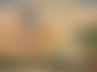 Till Kinzel: GEORGE SOROS UND DIE OFFENE GESELLSCHAFT