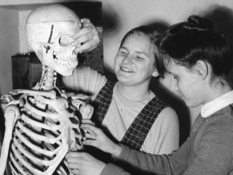 Wolfgang Meins: WISSENSCHAFT VS. IDEOLOGIE – EIN BEISPIEL AUS DER GENETIK