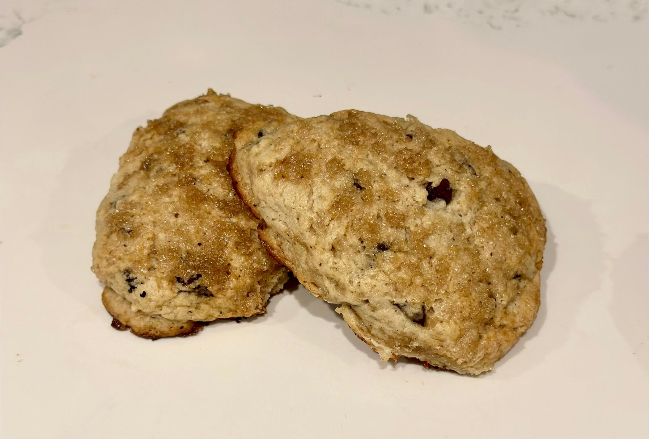 Chocolate Chip Scone (8CT)