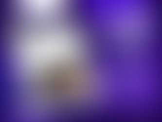twitch viewer bot free