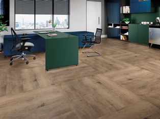 Working Florida 1.jpg